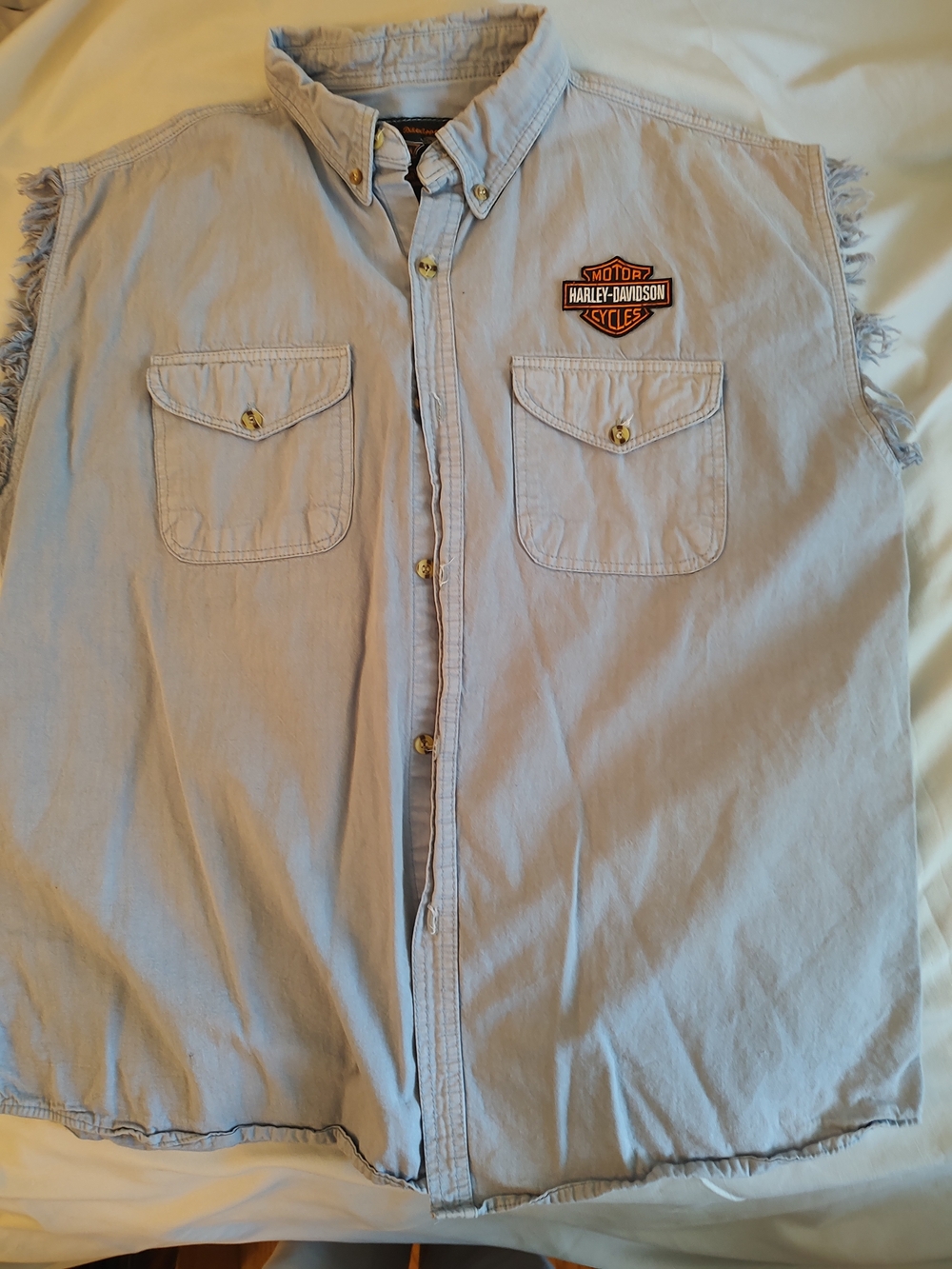 Harley-Davidson Men’s Light Blue Sleeveless Button-Down Shirt